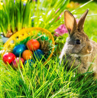 Easter