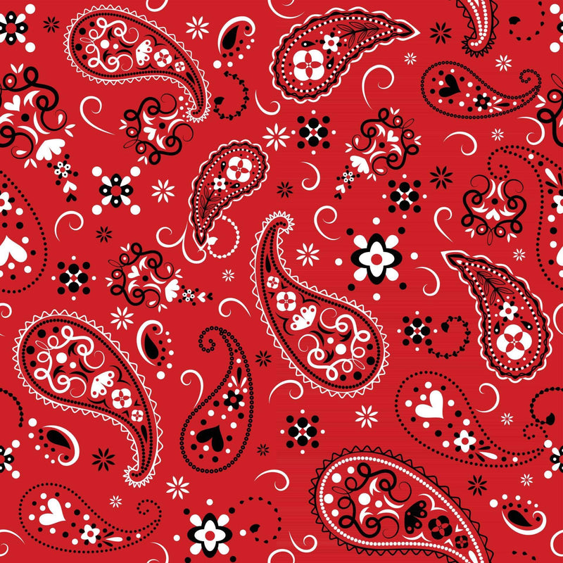 Paisley